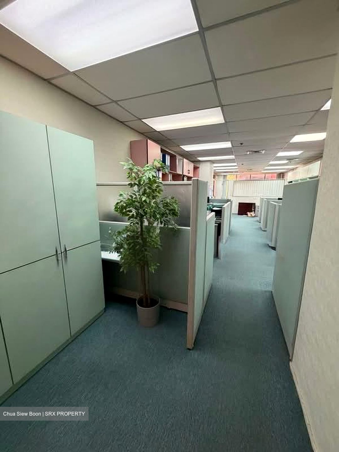 International Plaza (D2), Office #551214331